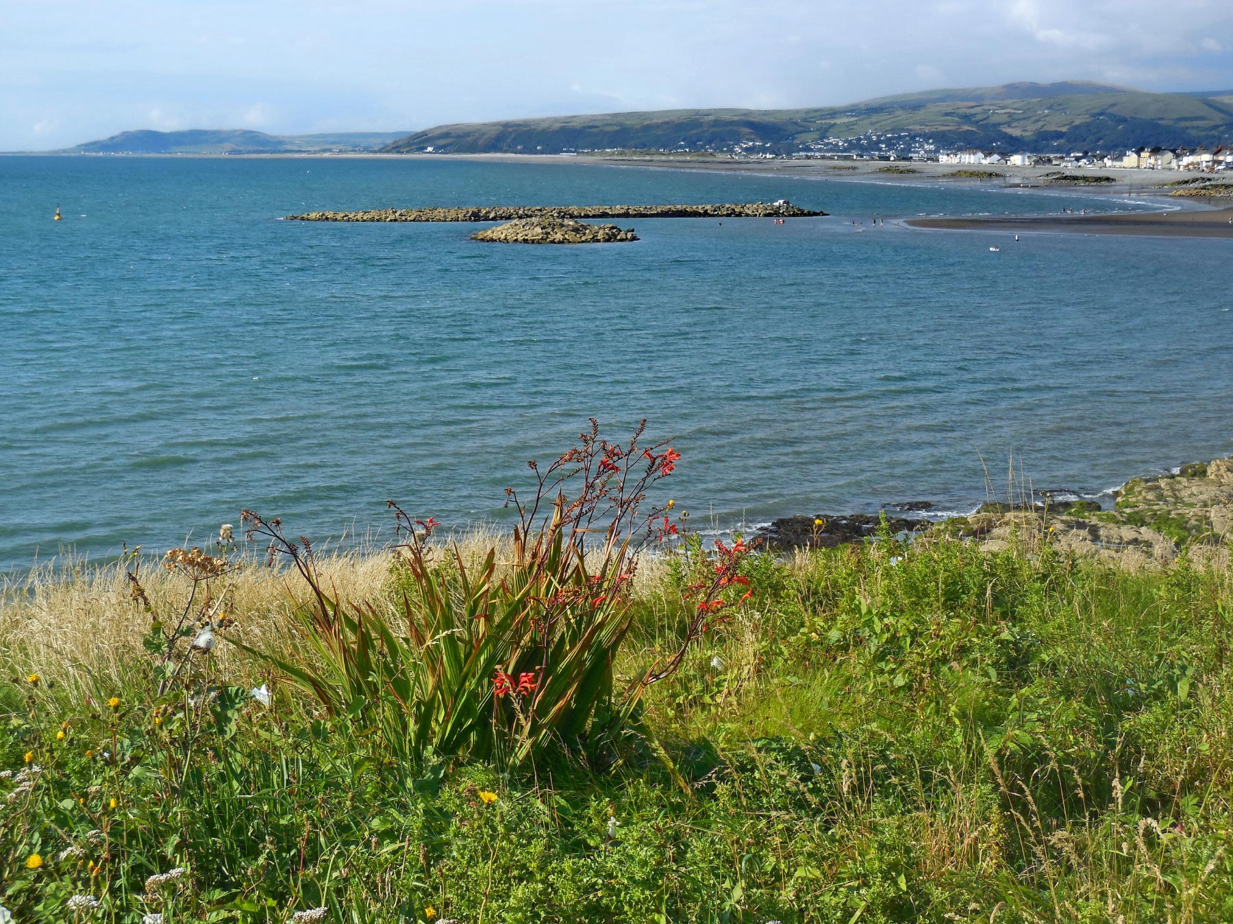 Borth